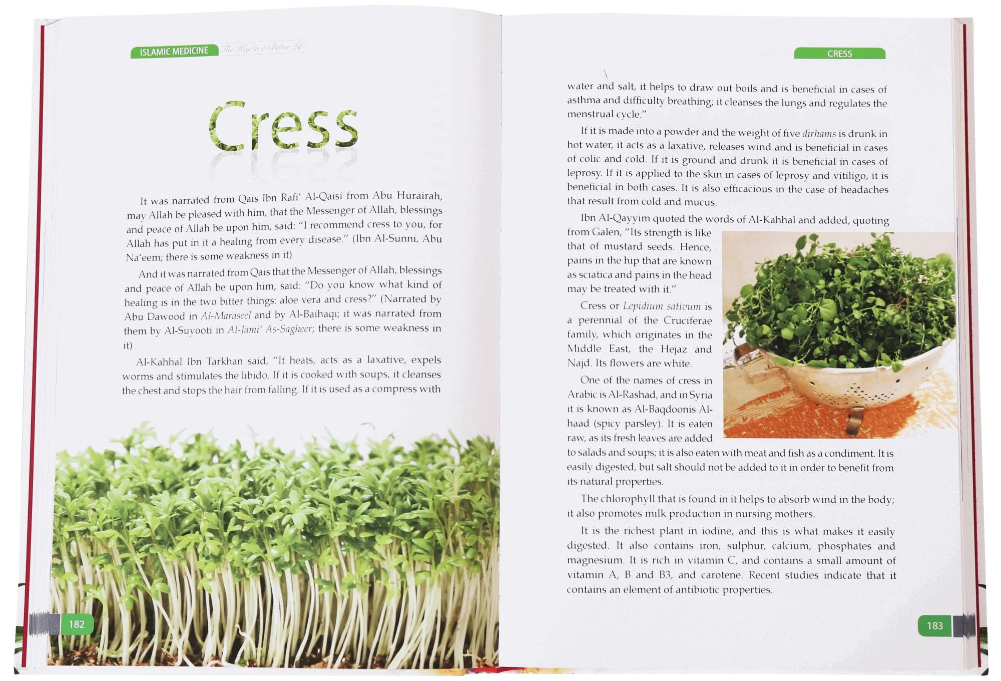 Islamic Medicine - The Key to a Better Life - Image 3