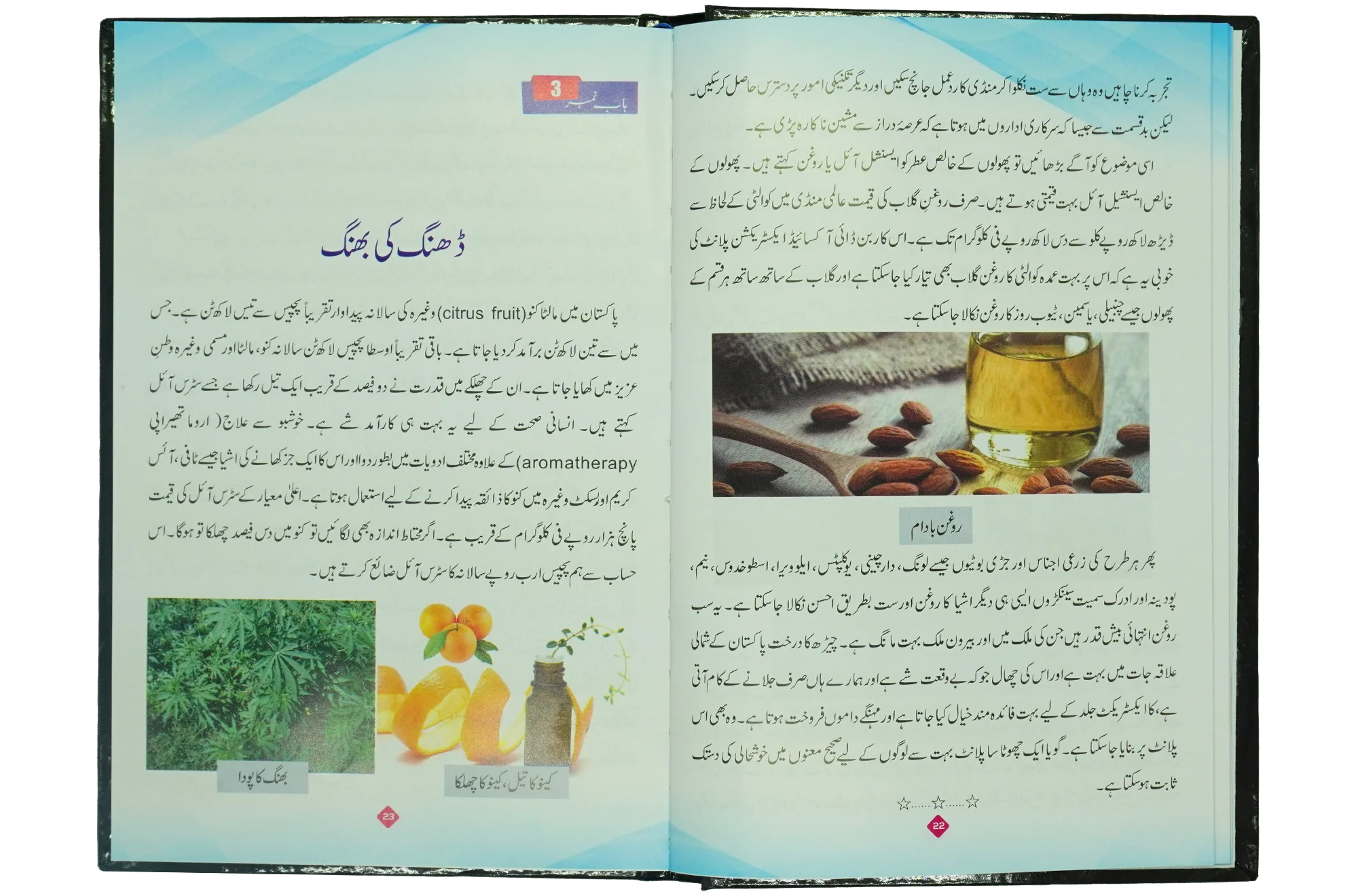Khushhali ki Dastak- Soft Cover - Image 5